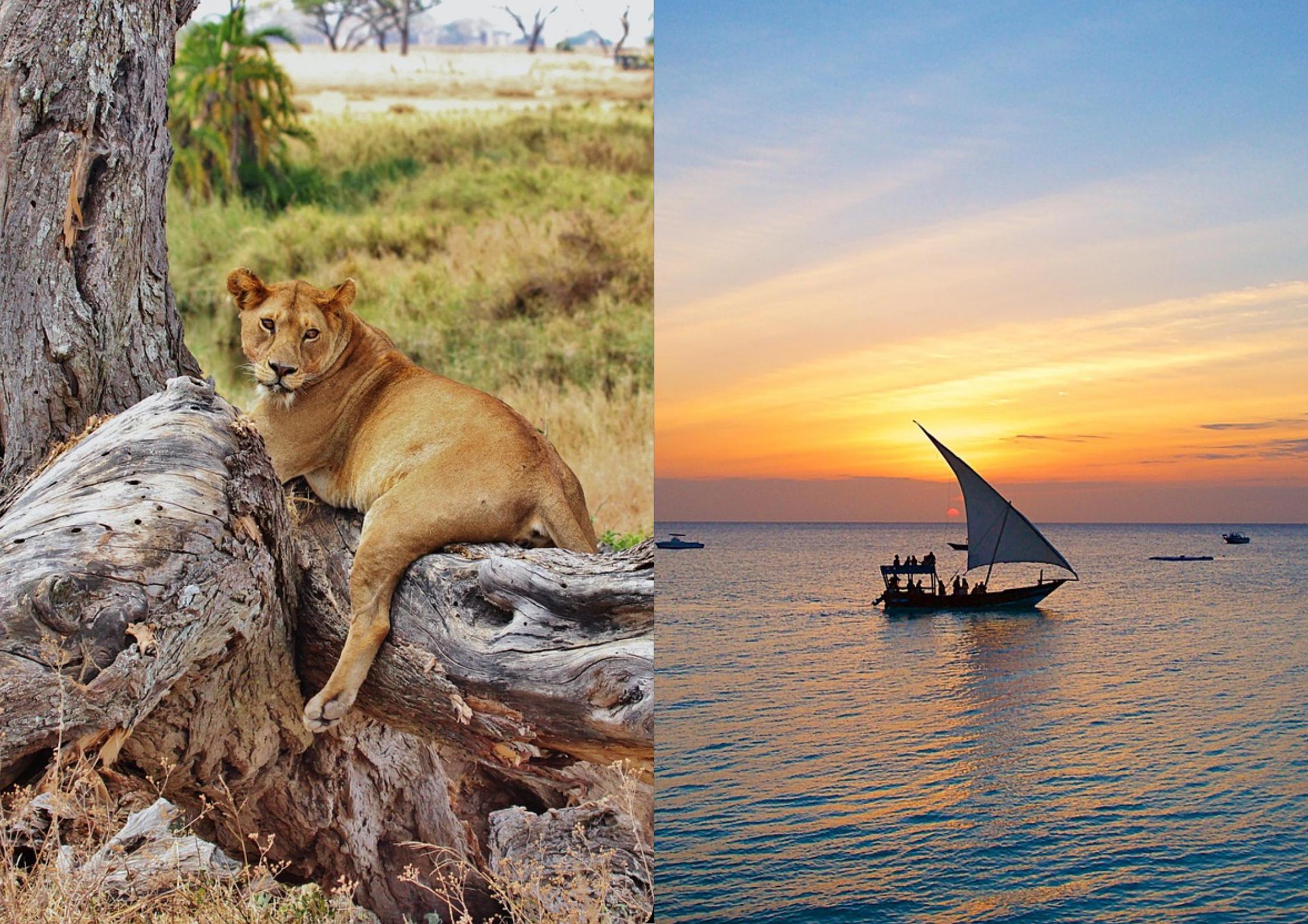 10 Days Southern Circuit Wildlife